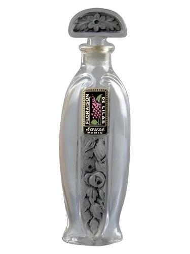 Floraison de Lilas Sauzé — Sauze