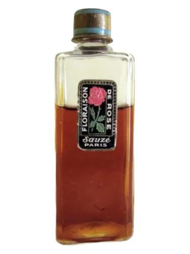 Floraison de Rose Sauzé — Sauze