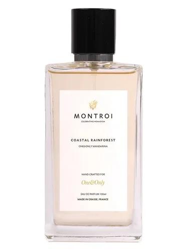 Coastal Rainforest — Montroi