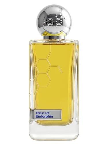 Endorphin — Hormone Paris