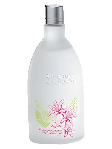 Edições Perfumadas Cachoeira Furta-Cor — Jequiti