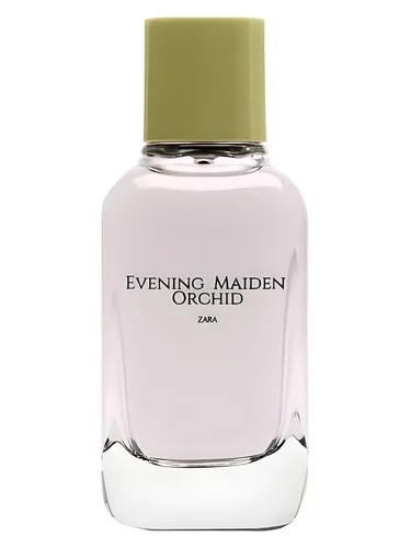 Evening Maiden Orchid — Zara