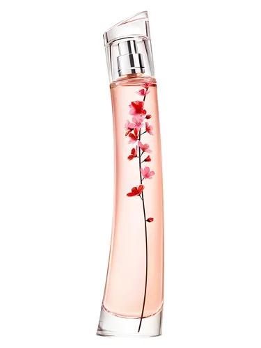 Flower Ikebana Sakura — Kenzo