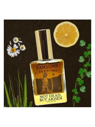 Not Dead, but Arisen Fantôme — Fantôme