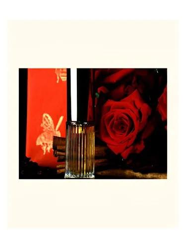 Poivre — DSH Perfumes
