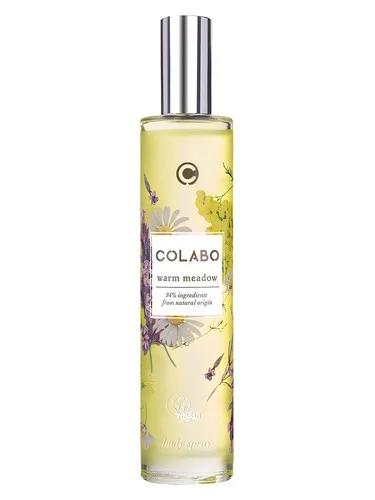 Warm Meadow — COLABO