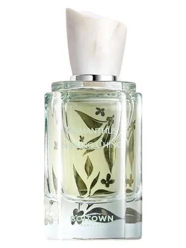 Osmanthus & Lung Ching 桂花龙井 Boitown 冰希黎 — Boitown bing xi li