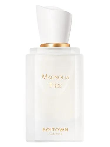 Magnolia Tree 一树玉兰 Boitown 冰希黎 — Boitown bing xi li