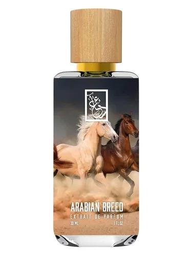 Arabian Breed — The Dua Brand