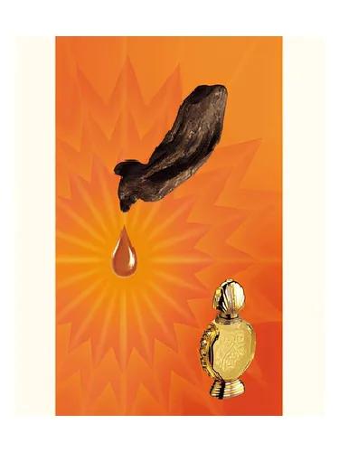 Shatha Al Oudh — Rasasi