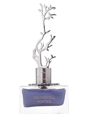 Deciduous Winter — Aurora Scents