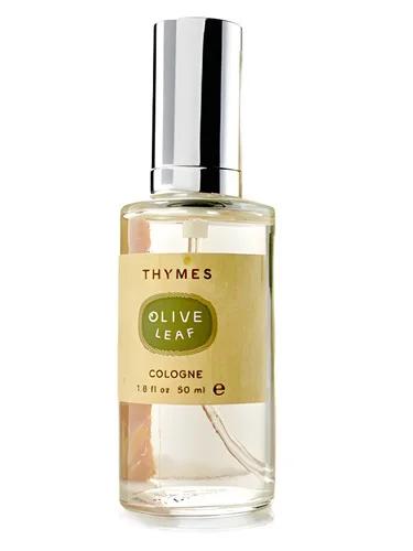 Olive Leaf — Thymes