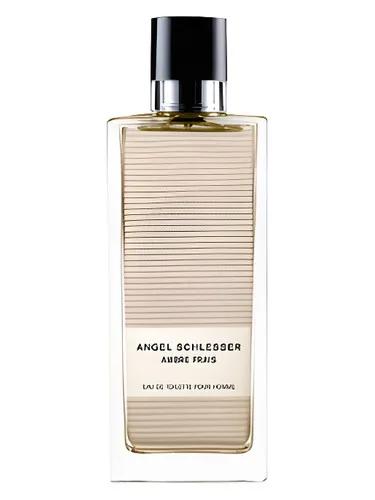 Ambre Frais Homme — Angel Schlesser