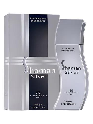Shaman Silver — Arno Sorel