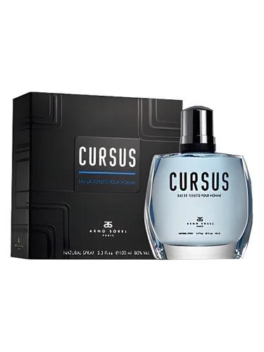 Cursus — Arno Sorel