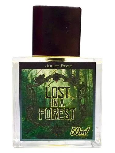 Lost in a Forest — Juliet Rose