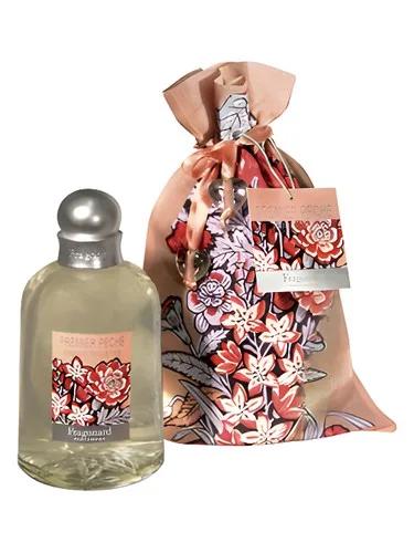 Premier Peche — Fragonard