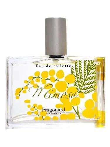 Mimosa — Fragonard