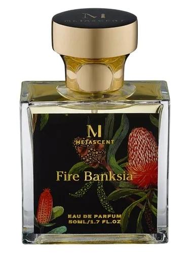 Fire Banksia — Metascent