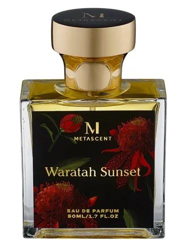 Waratah Sunset — Metascent