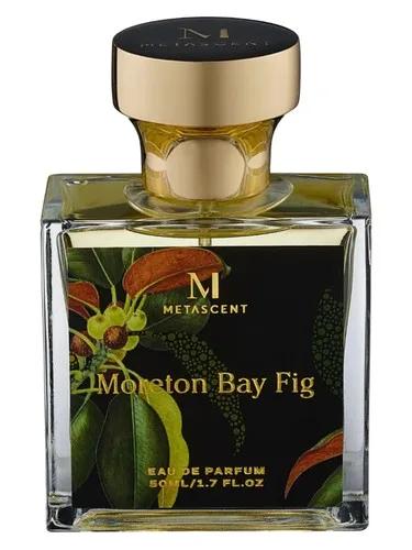 Moreton Bay Fig — Metascent