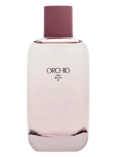 Orchid Bloom 01 — Zara