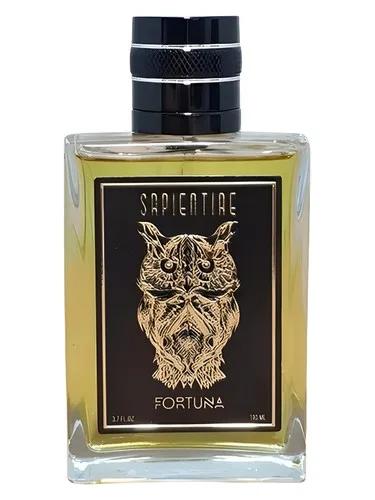 Fortuna — Sapientiae Niche
