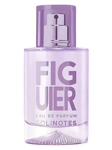 Figuier — Solinotes