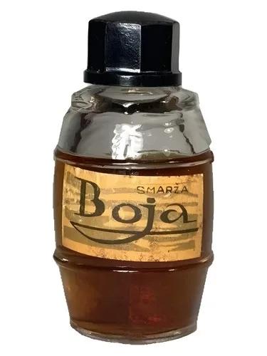 Boja (Буй) — Dzintars