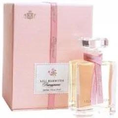 Frangipanni — Lili Bermuda