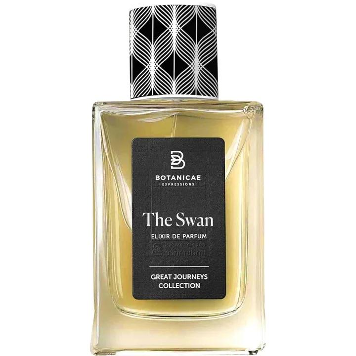 The Swan — Botanicae Expressions