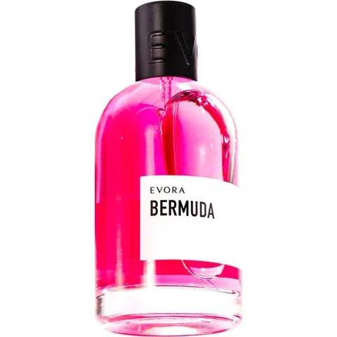 Bermuda — Evora