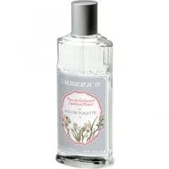 Fleur de Cachemire — Durance en Provence