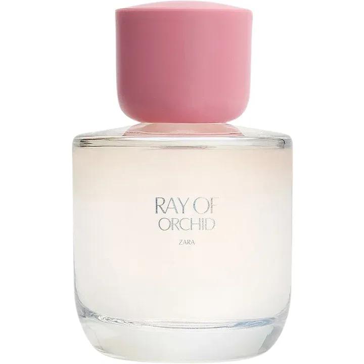 Gentleman Royal Oud — Yardley