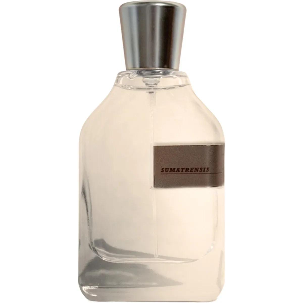 Sumatrensis — Alhatoun