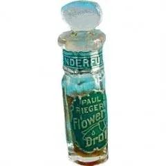 Flower Drops - Wonderful — Paul Rieger