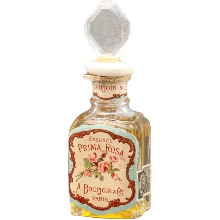 Prima Rosa — Bourjois