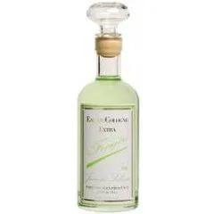 Jean des Salines - Fougère — Laboratoires Cadentia