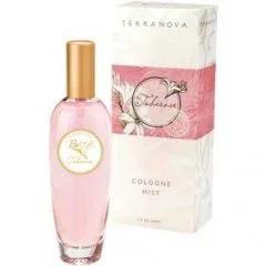 Island Collection - Tuberose — Terranova