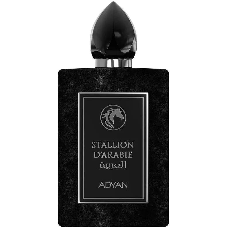 Stallion d'Arabie — Adyan
