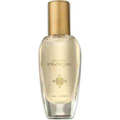 Exotic Fire — Avroy Shlain