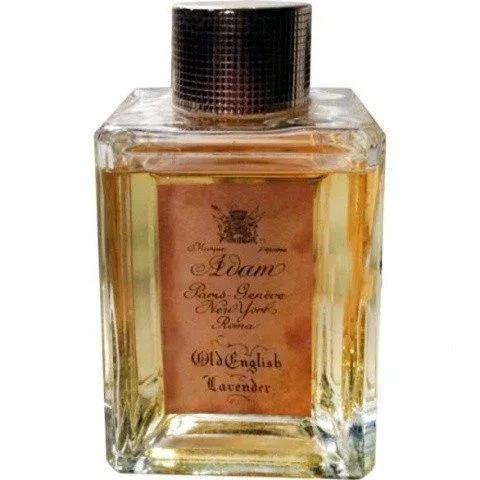 Old English Lavender — Adam
