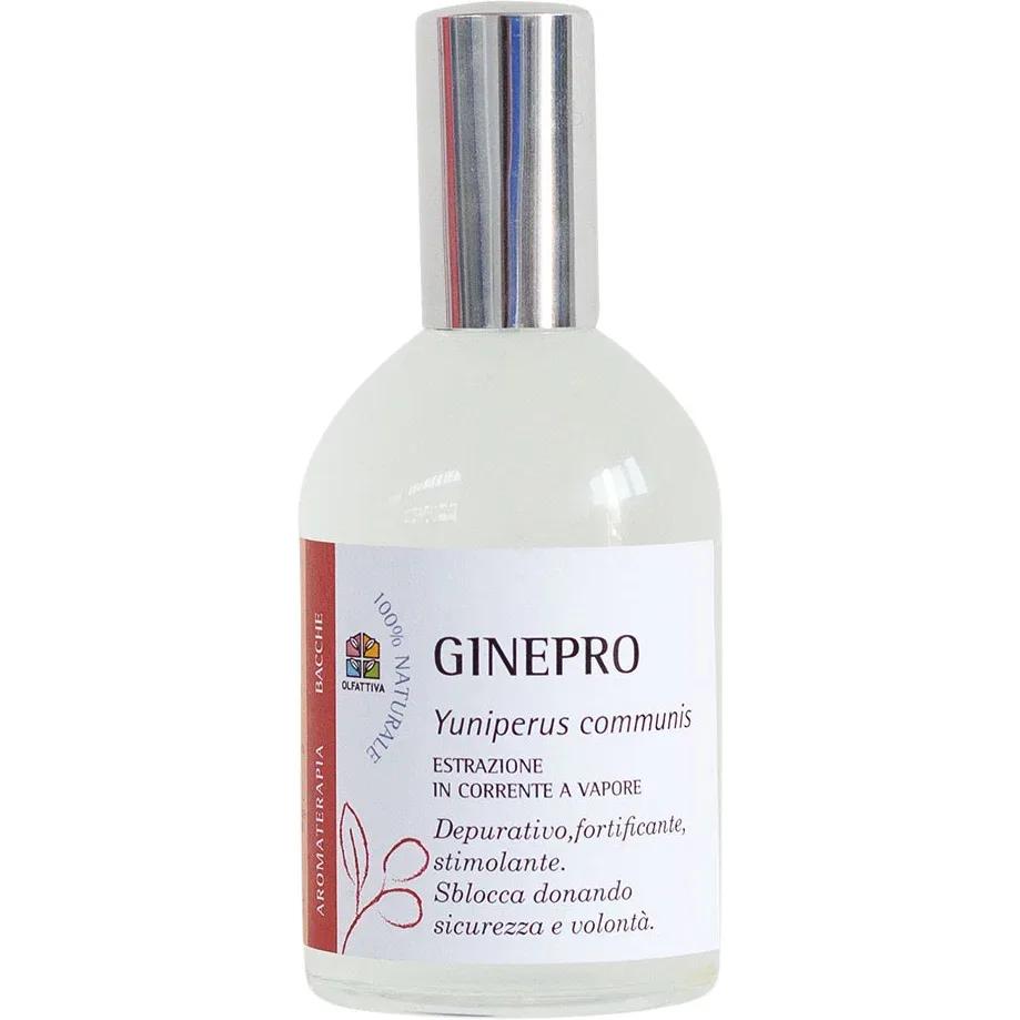 Ginepro — Olfattiva