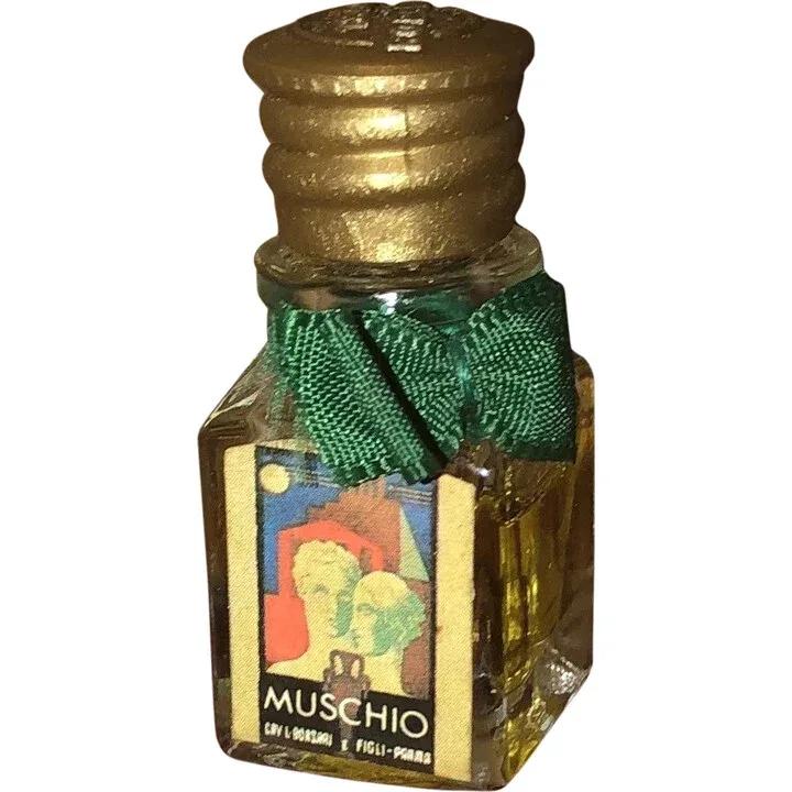 Muschio — Borsari