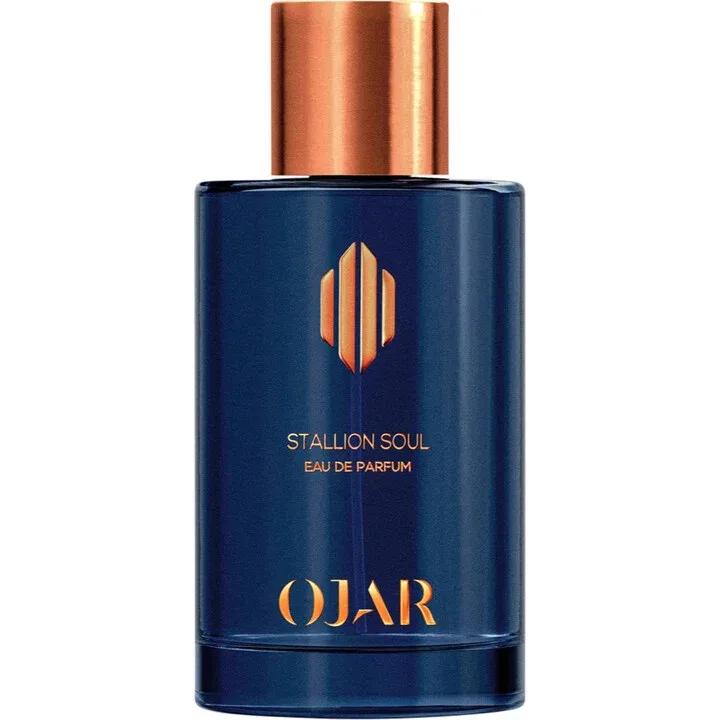 Potion Dsquared² 2011 After Shave — Dsquared2