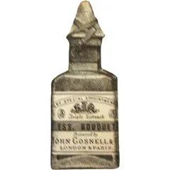The Collector - Zafeer Oud Vanille — Alexandre.J