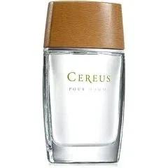 Linea I Caratteri - Il Seducente — Scent Bar