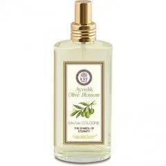 Ayvalık Olive Blossom — Eyuep Sabri Tuncer