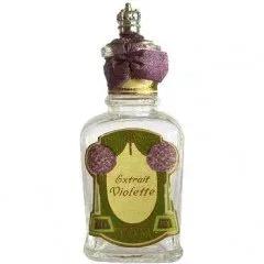 Albina — Astrid Perfume / Blooddrop