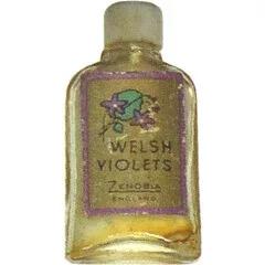 Welsh Violets — Zenobia